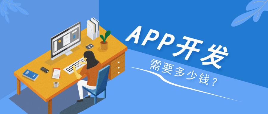 开发APP应用满足用户需求