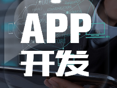 体育休闲APP开发方案全面分析