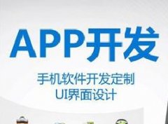 APP开发功能文档模板