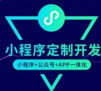 上海小程序开发公司服务